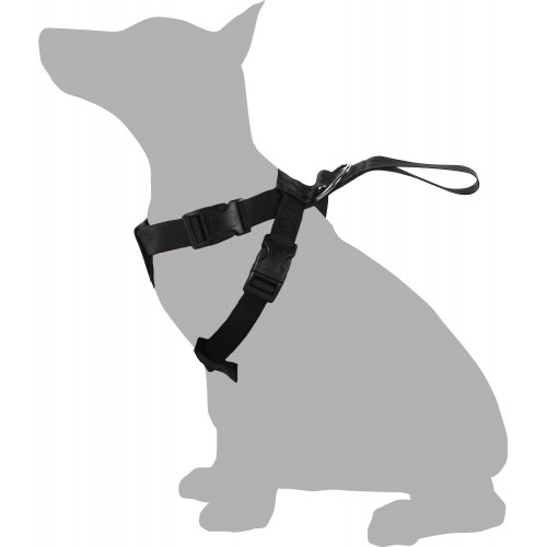 Шлея dOG SAFETY ЧЕРНЫЙ S