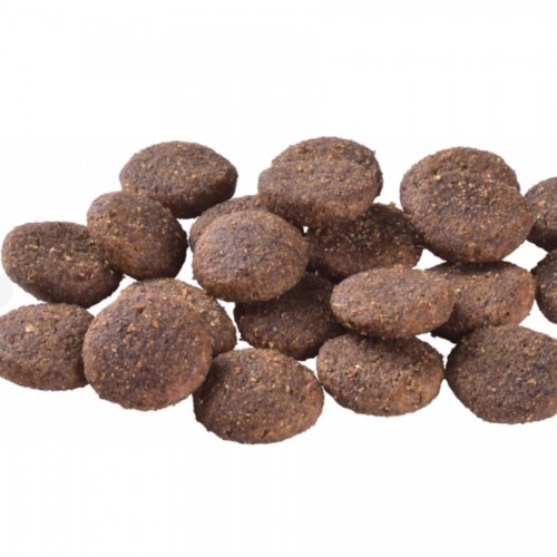 Brit Care Hypoallergenic Adult Large Breed Lamb