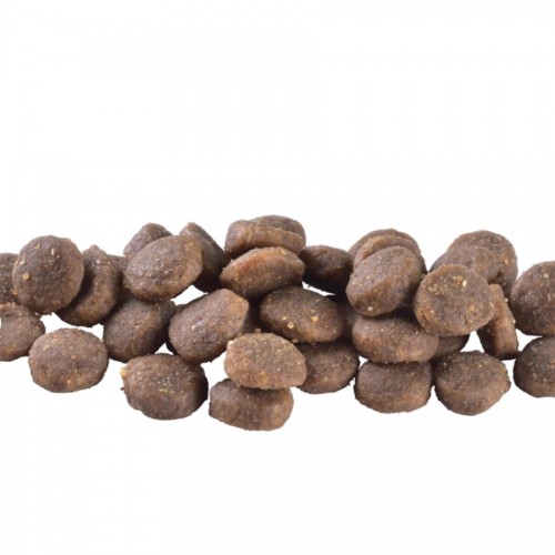 Brit Care Grain-free Puppy Salmon 