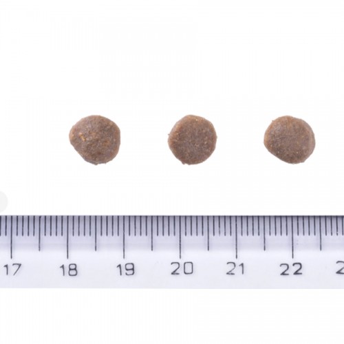 Brit Care Grain-free Puppy Salmon 