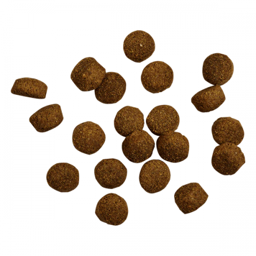 Belcando Baseline Buddy