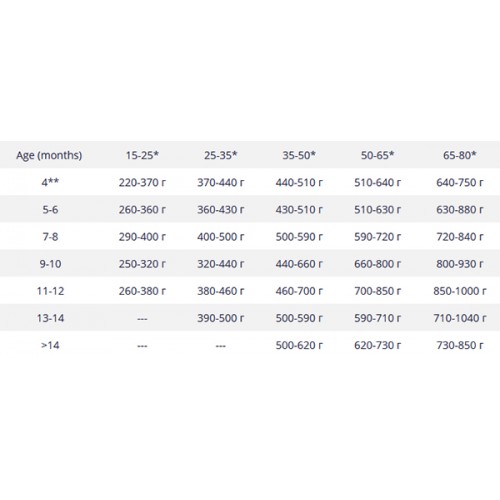 Belcando Baseline Young