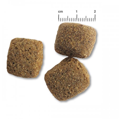 Belcando Junior Maxi Chicken