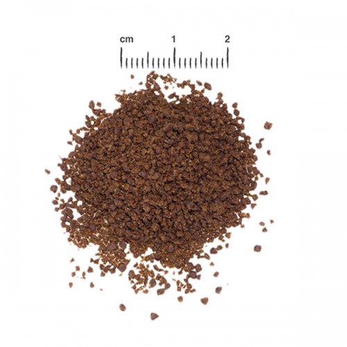 Belcando Puppy STARTER