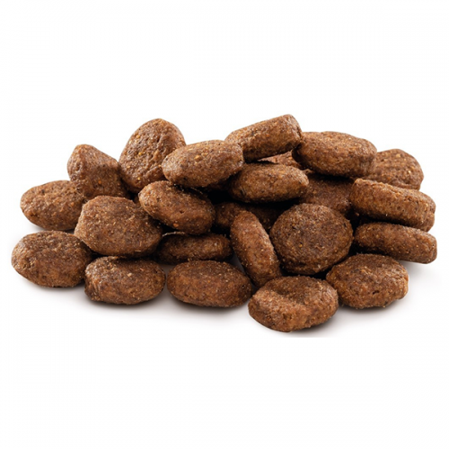 Brit Premium Adult XL