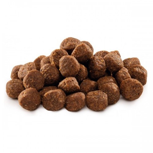 Brit Premium Junior M