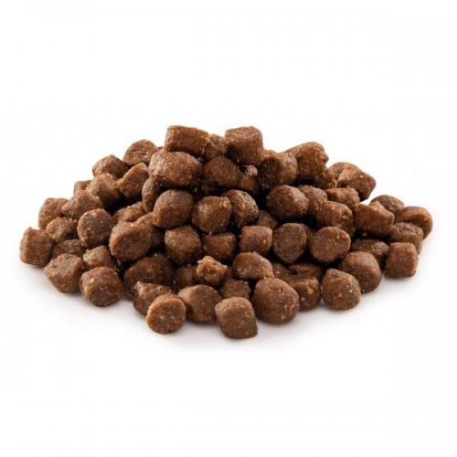 Brit Premium Junior S