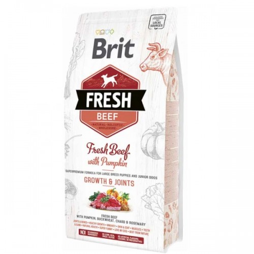 Brit Fresh Puppy Large Beef
