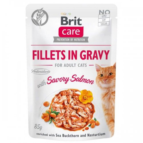 Brit Care Cat with salmon in sauce