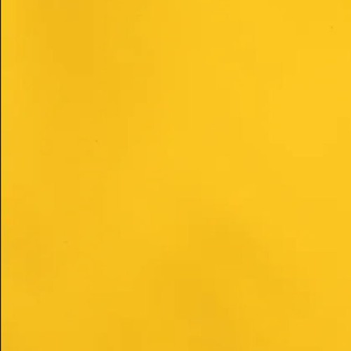 Rain Coat Ciro Yellow 55cm