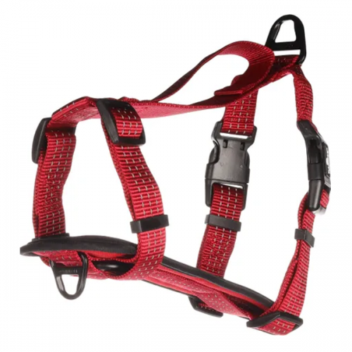 Шлейка H-Harness Zorba красная M