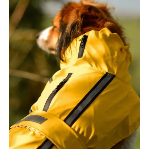 Rain Coat Ciro Yellow 60cm