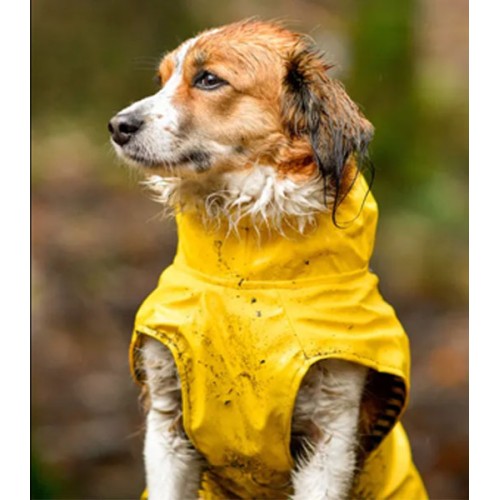 Rain Coat Ciro Yellow 80cm