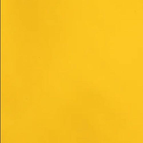 Rain Coat Ciro Yellow 75cm