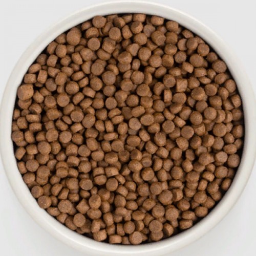 Grandorf Cat 4MEAT Adult Indoor