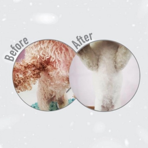 Nature's protection Superior Care White Dogs GF Small and Mini Adult - white fish