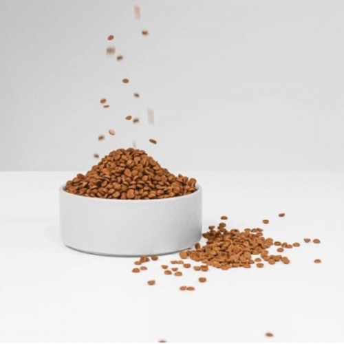 Nature's Protection Superior Care Red Coat GF Small and Mini Adult - lamb