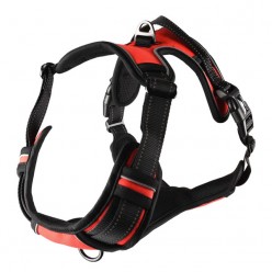 Шлейка BALOU красная, L