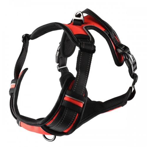 Шлейка BALOU красная, L