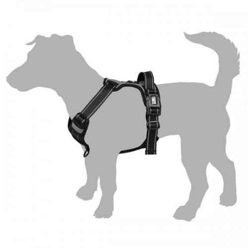 Шлейка BALOU красная, L