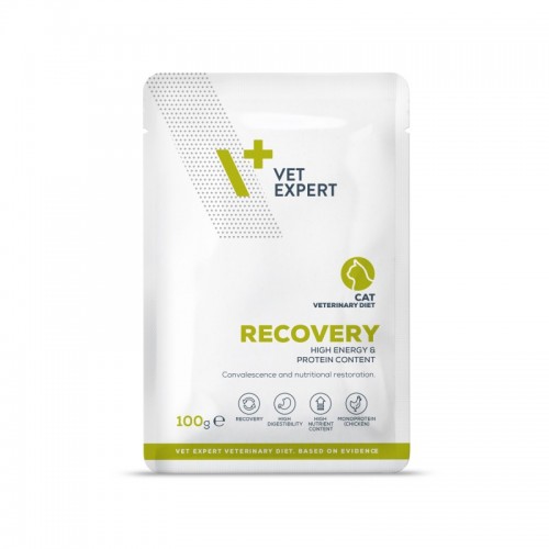 VET EXPERT RECOVERY CAT