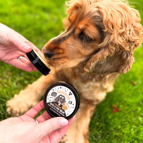 Bugalugs Oatmeal Nose & Paw Balm, Бальзам для носа и лап с овсянкой для собак