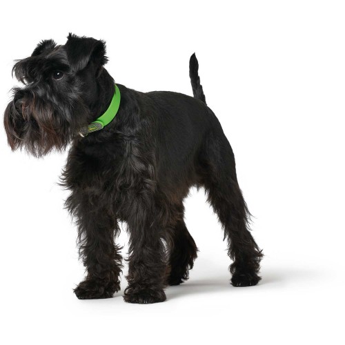 Hunter CONVENIENCE Basic Collar M-L (42 - 50 cm)  в ассортименте цветов