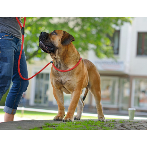 Удавка Hunter Freestyle 8/120