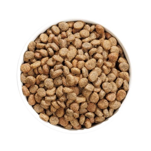 OWNAT GF HYPO MINI LAMB (DOG)
