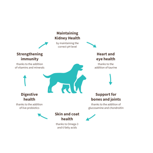 Grandorf Veterinary Diet Dog Gastrointestinal Low Fat