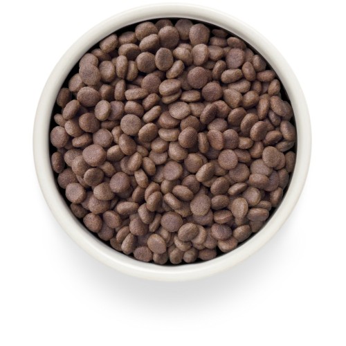 Grandorf Veterinary Diet Dog Hypoallergenic