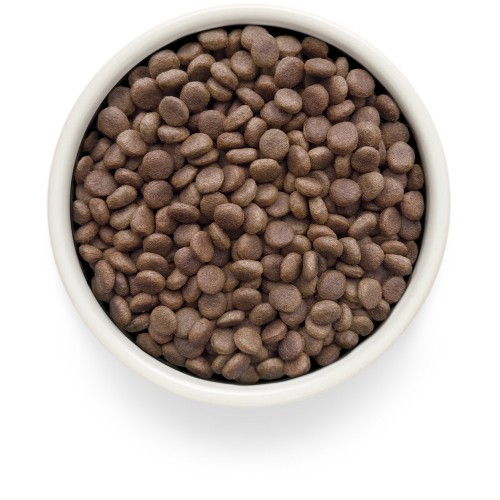 Grandorf Veterinary Diet Dog Dermatosis