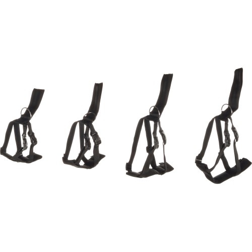 Шлея dOG SAFETY ЧЕРНЫЙ S