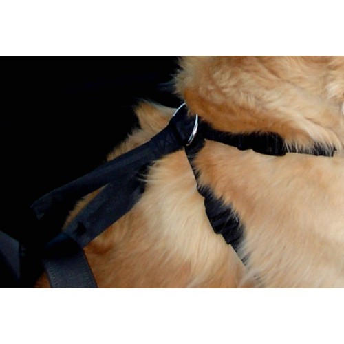 Шлея dOG SAFETY ЧЕРНЫЙ XL