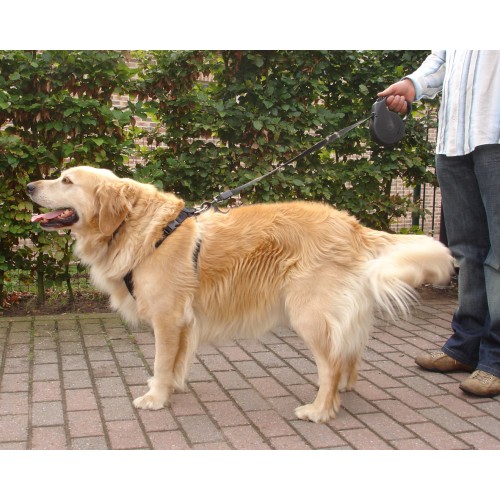 Шлея dOG SAFETY ЧЕРНЫЙ XL