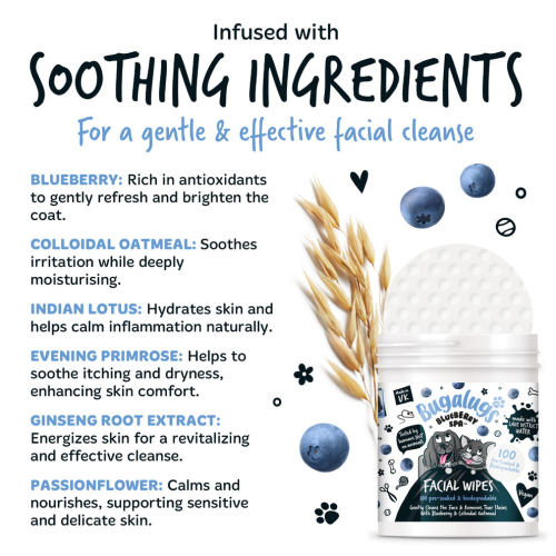 Салфетки для удаления слезных пятен с коллоидной овсянкой Blueberry Spa Facial Wipes 100шт для собак