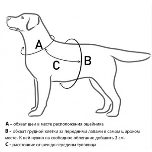 ШЛЕЙКА H-образная ZIGGI бежевая M