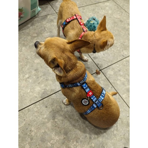 ШЛЕЙКА H-образная ZIGGI бежевая M