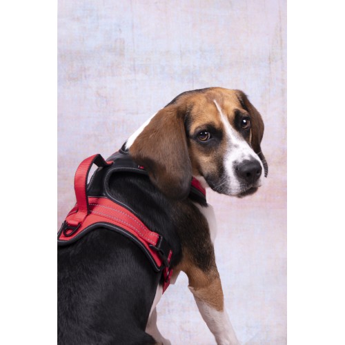 ШЛЕЙКА TOGA с дышащей сеткой КРАСНая M 