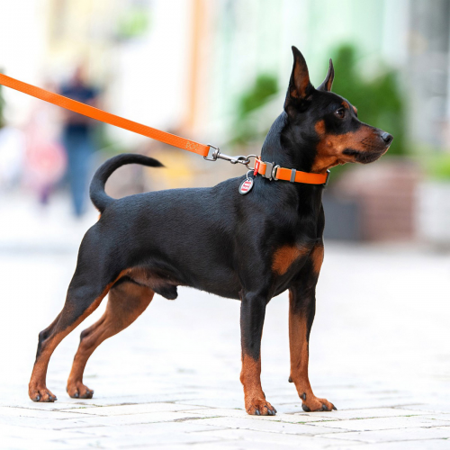 Поводок WAUDOG Waterproof, водостойкий, цвет оранжевый S 3,05 м